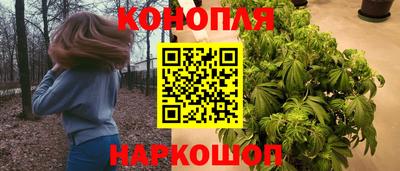 спайс Коммунар