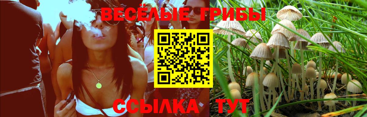 Галлюциногенные грибы MAGIC MUSHROOMS  Вход с VPN  Галлюциногенные грибы Magic Shrooms  Клин 